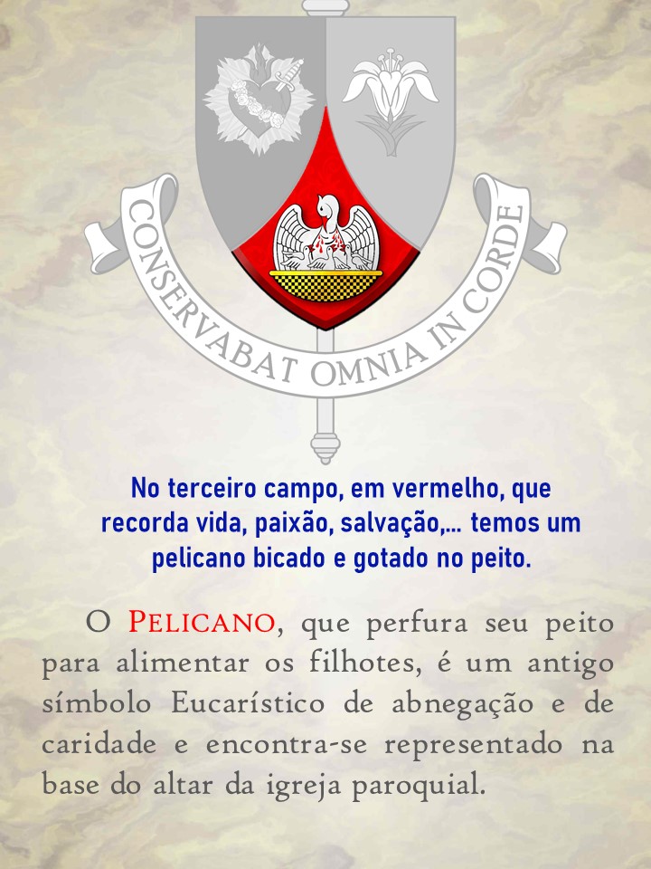 insignia05