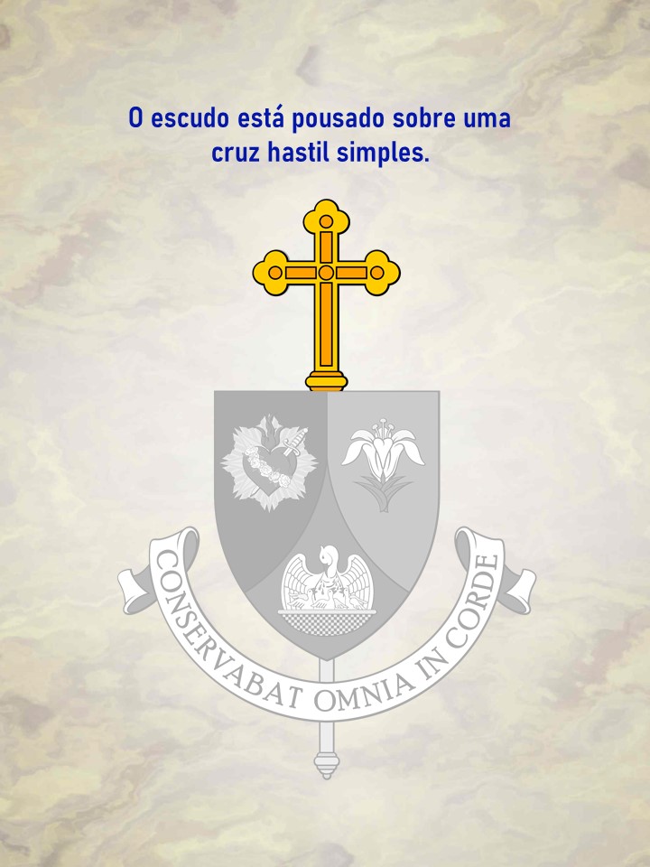 insignia06